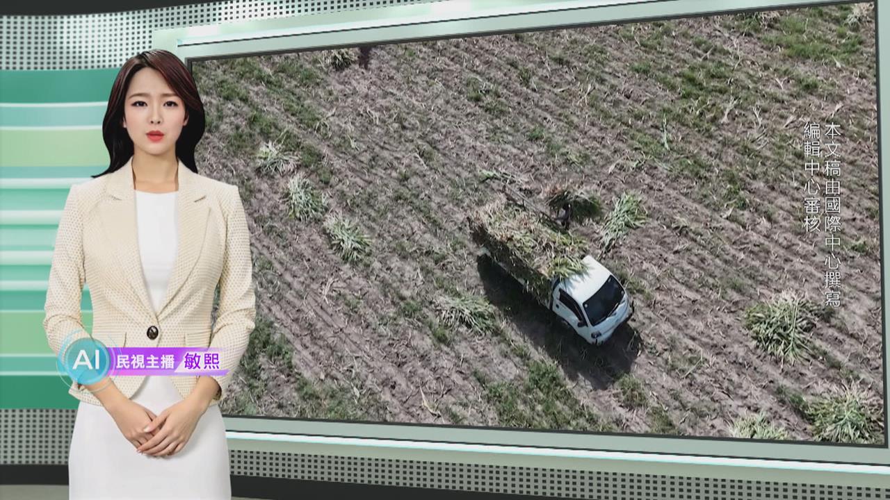 敏熙報氣象／薩爾瓦多乾旱加劇 農田歉收經濟損失難估計