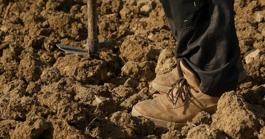 農夫田裡找鐵鎚反挖出千年寶藏 獲國家認證!天價回饋曝光
