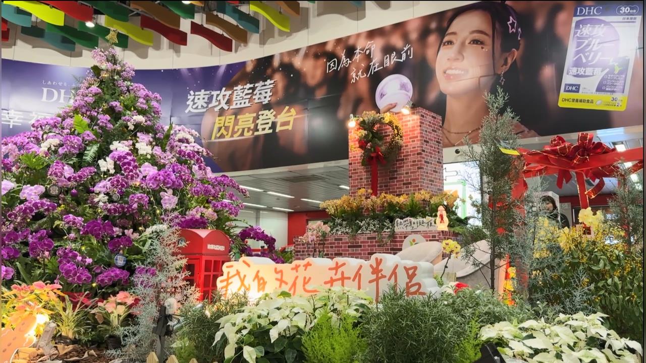 高捷「蘭花堆成耶誕樹造型」引熱議　民眾：搭配起來像靈堂