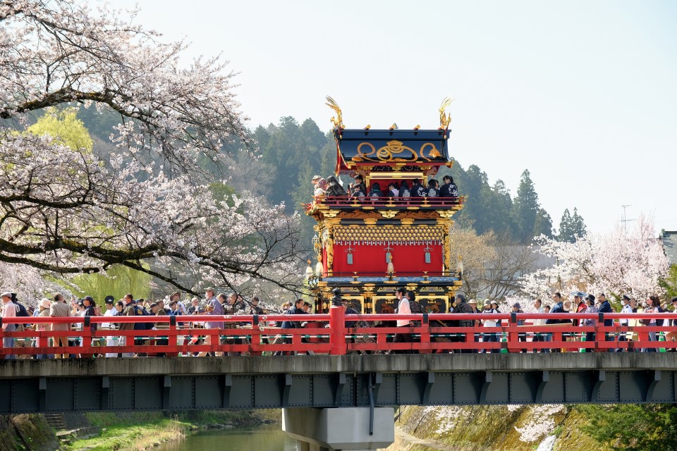 快新聞／日本岐阜「春之高山祭」登場　屋台遊行宣示「春天來了」