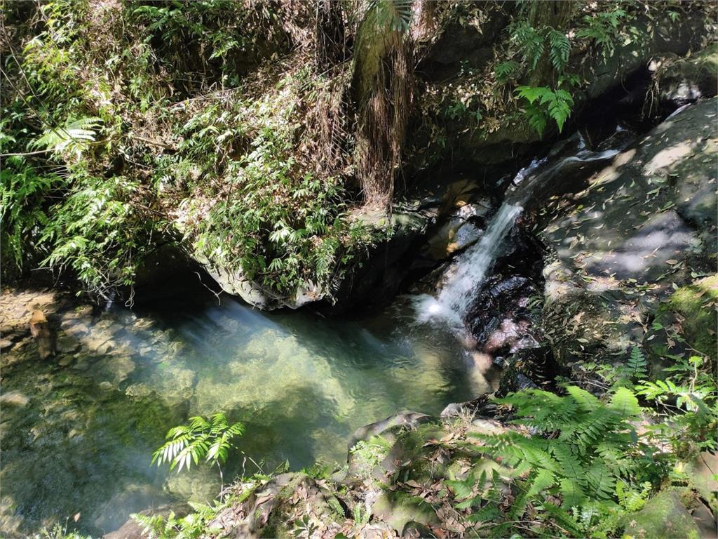 【桃園文選】遊走淡蘭古道　拾掇歷史的風華