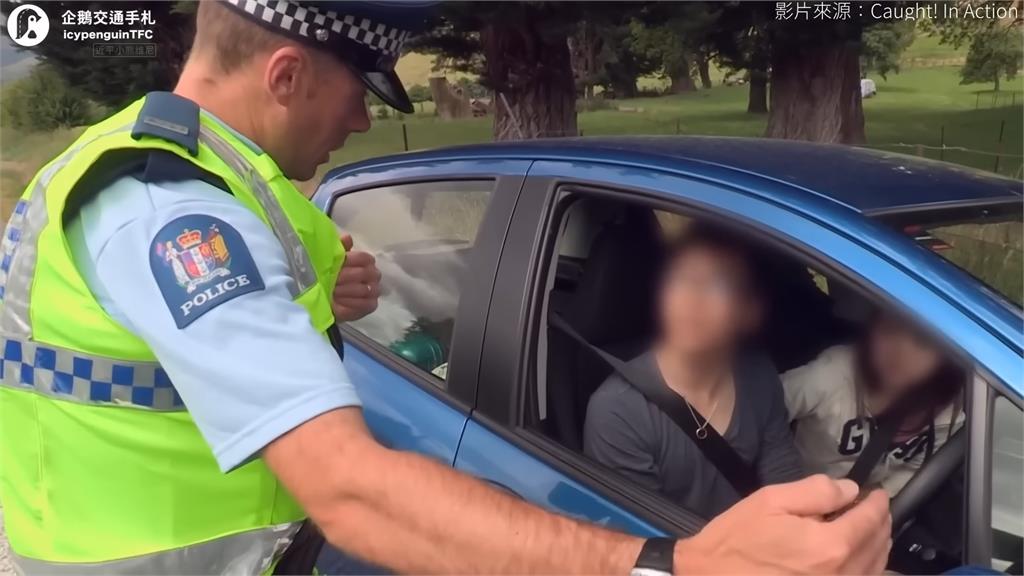 台灣三寶在紐西蘭自駕被攔　「回9字」警傻眼：不可思議