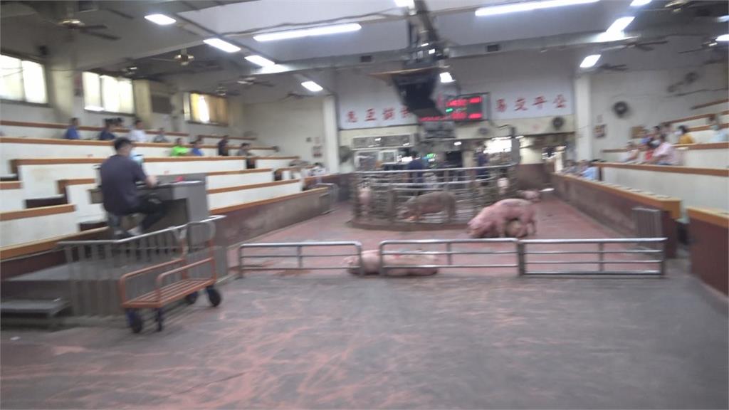 肉品市場鬧糾紛！豬農遭檢舉插隊爆肢體衝突