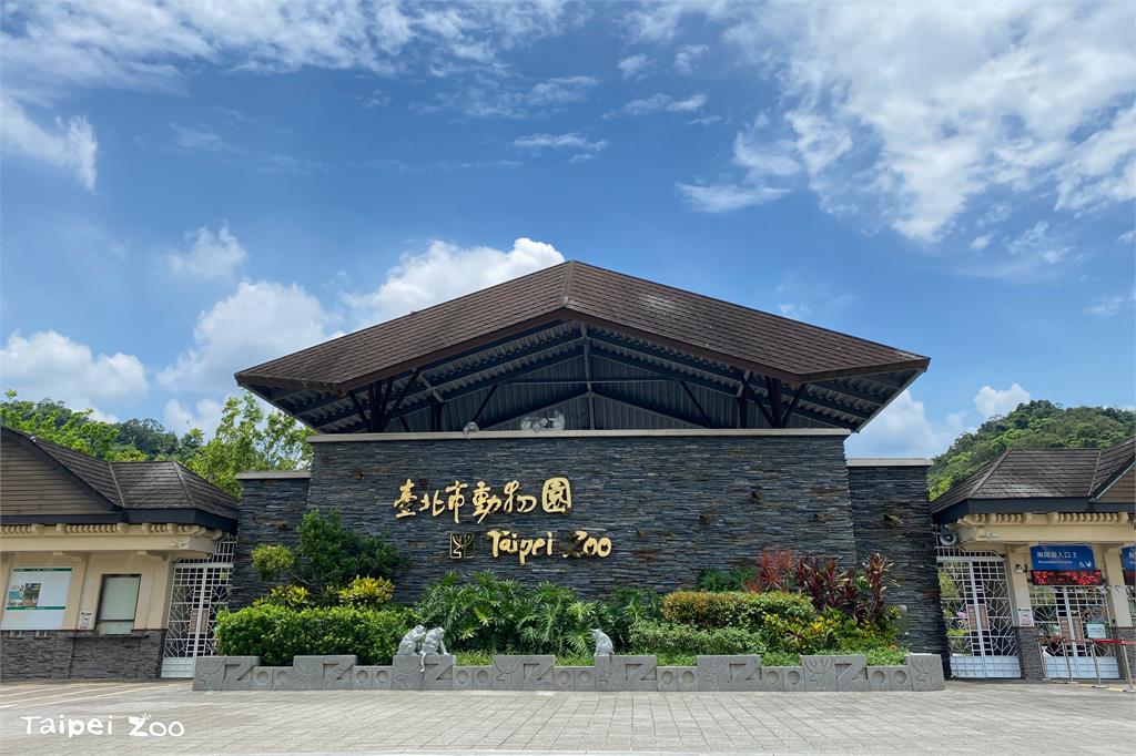 快新聞／台北市立動物園新園長確定！　朱孝芬明起走馬上任