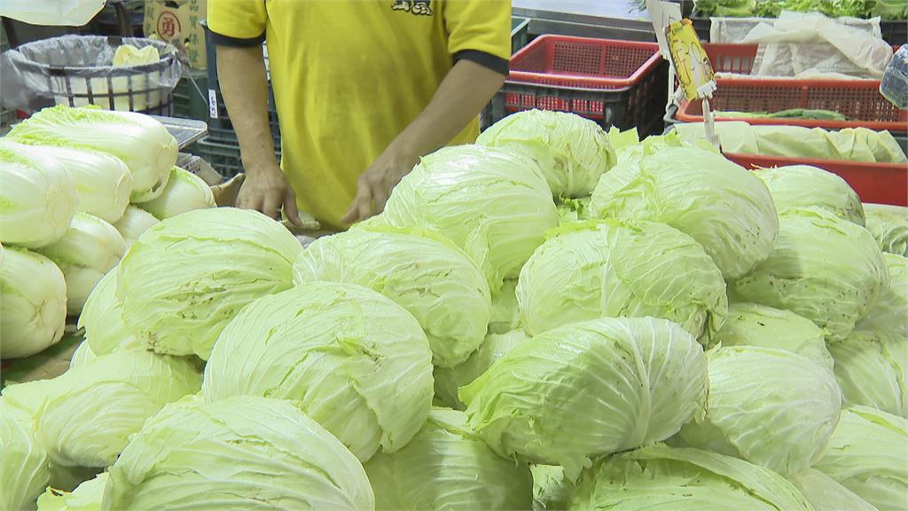 另類台灣之光！旅日台人超懷念「1蔬菜」　PTT掀共鳴：國外的像塑膠