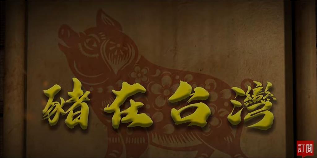 台灣演義／12生肖壓軸、扣連庶民文化 豬在台灣的歷史｜2020.09