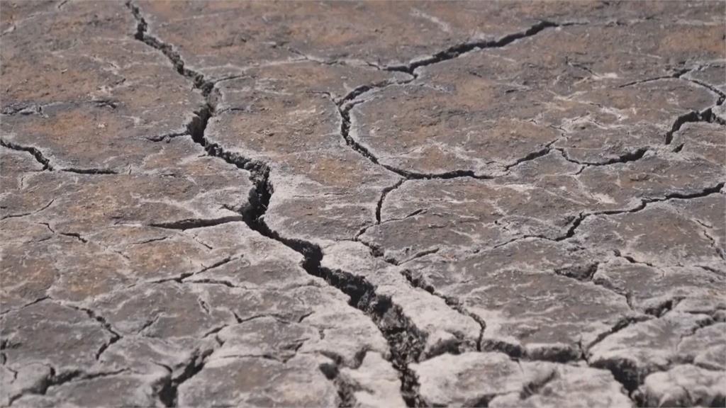 沒人置身事外!極端氣候釀災 2024年地球人平均經歷41天危險酷熱