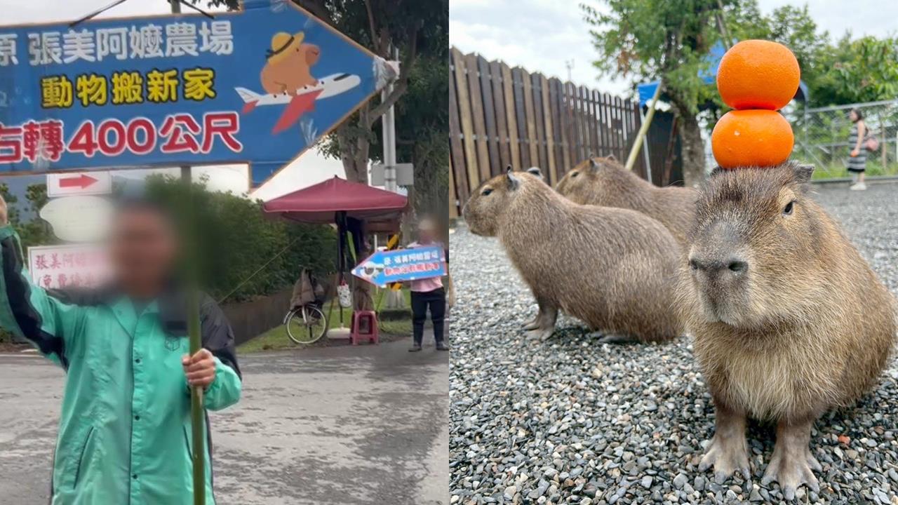 張美阿嬤農場「動物已搬走」鬧分家？阿嬤「曝真相」澄清：品牌兩邊都可以用