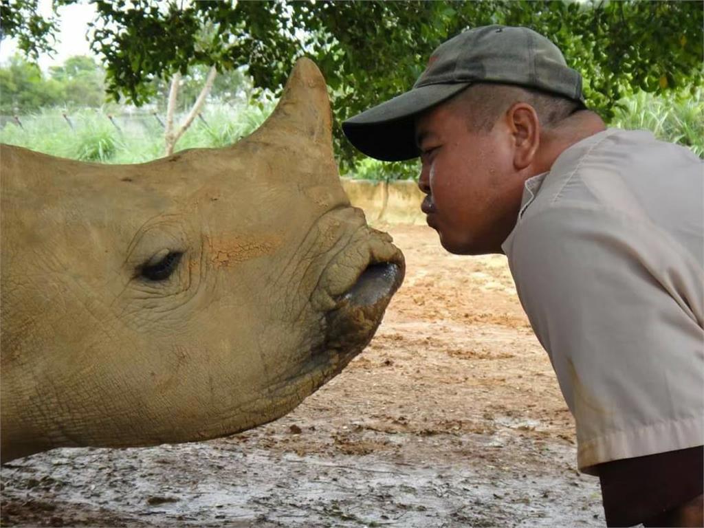 把動物當孩子！　「犀牛爸爸」李義村照顧犀牛祖孫三代