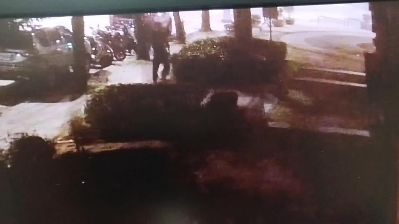 報復？三峽寵物店遭磚頭猛砸　嫌供稱：與朋友發生口角洩憤