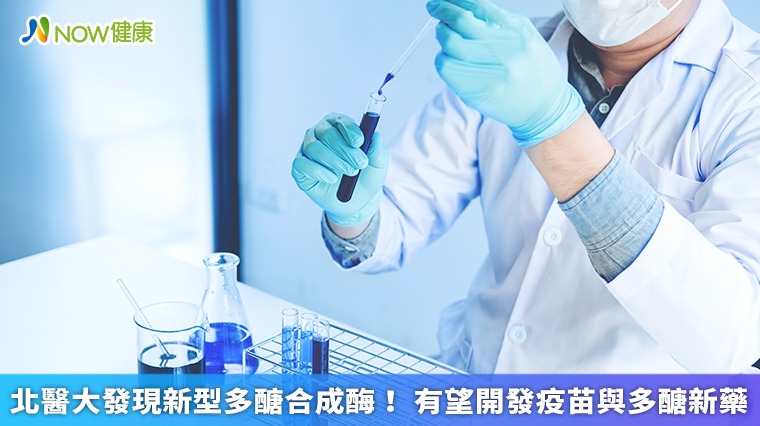 北醫大發現新型多醣合成酶！ 有望開發疫苗與多醣新藥