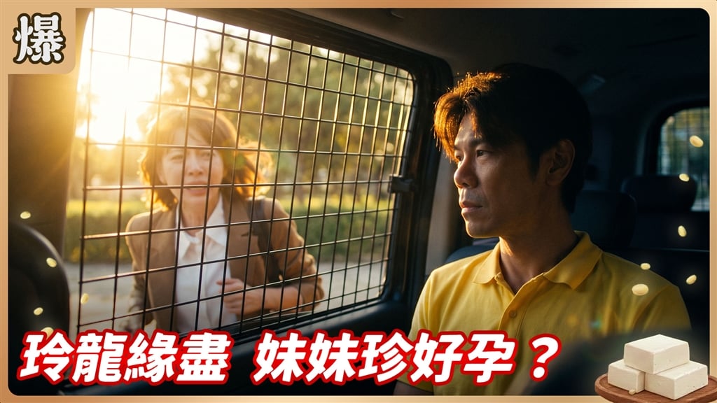 《豆腐媽媽-EP200精彩片段》玲龍緣盡 妹妹珍好孕？