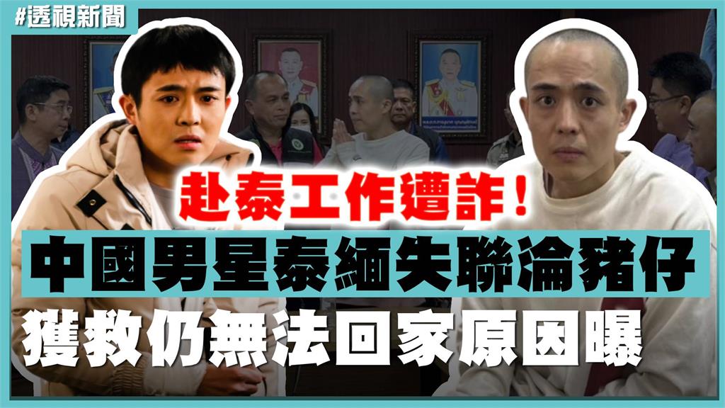 透視新聞／中國男星遭詐赴泰淪豬仔　獲救仍無法回家原因曝
