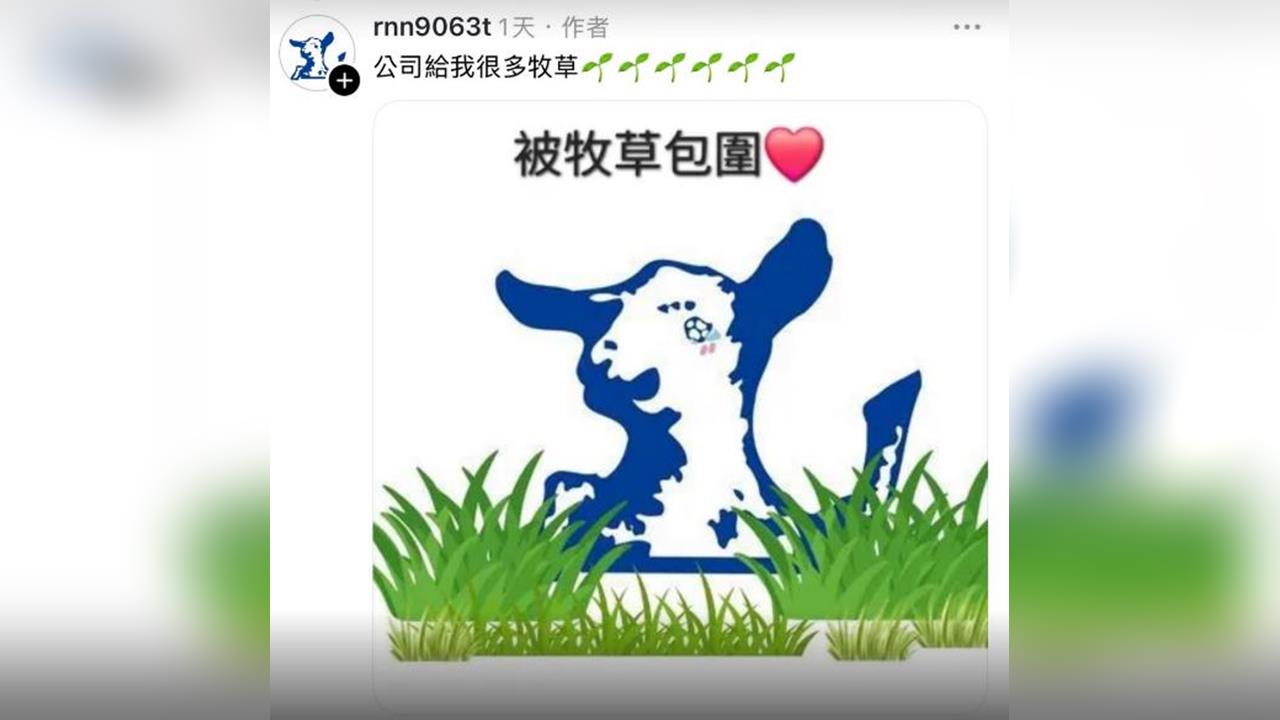 快新聞／24個羊編？嘉南羊乳公關災難　網怒：三麗鷗才應該提告