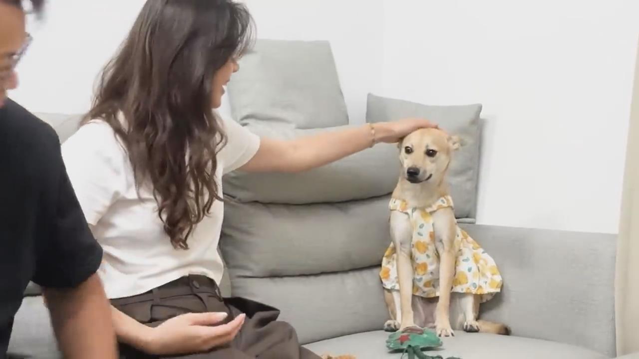 曾痛失愛犬仍決定再領養　夫妻再迎同胎妹網暖哭