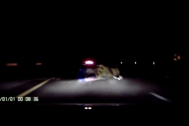 出人命啦！？半夜國道12車大追撞都是因為「它」