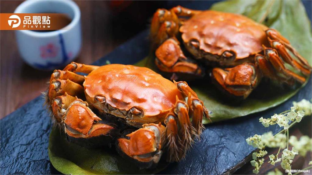 大閘蟹養10年血本無歸！養殖戶虧10年「100萬隻剩30萬」