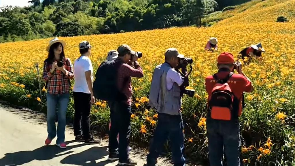 「粗魯行徑比山豬可怕」 攝影學會遭控踐踏花田