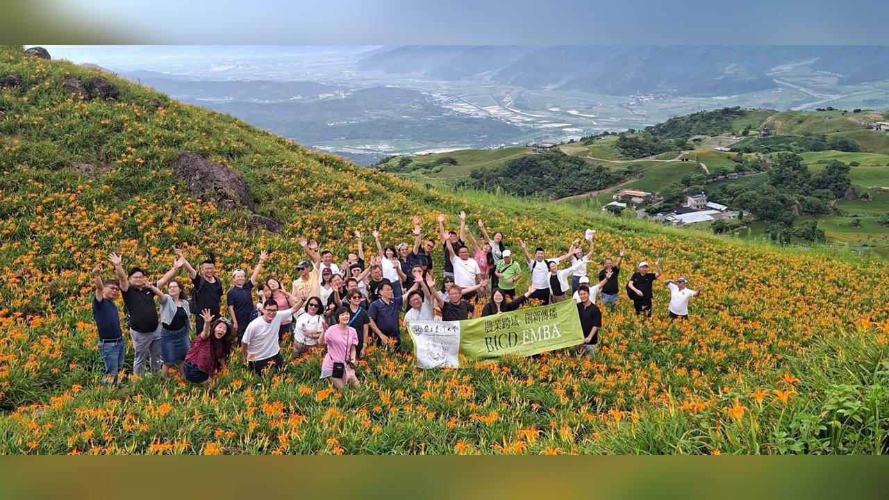 花蓮金針花季登場！　六十石山金黃花海綻放