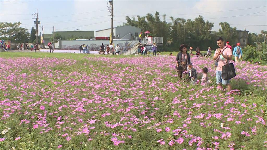 2021桃園花彩節繽紛開幕　花海結合棒球元素超吸睛