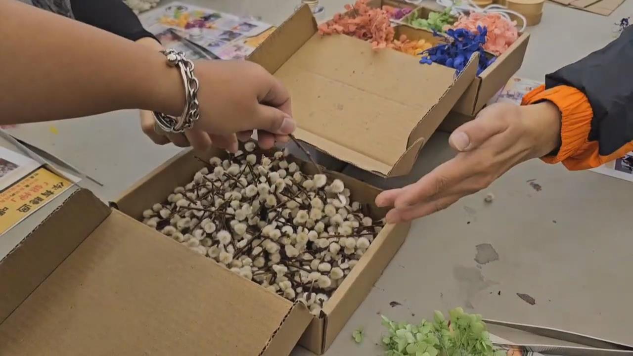 機械公司負責人返鄉認購十萬支銀柳　助農友也助弱勢