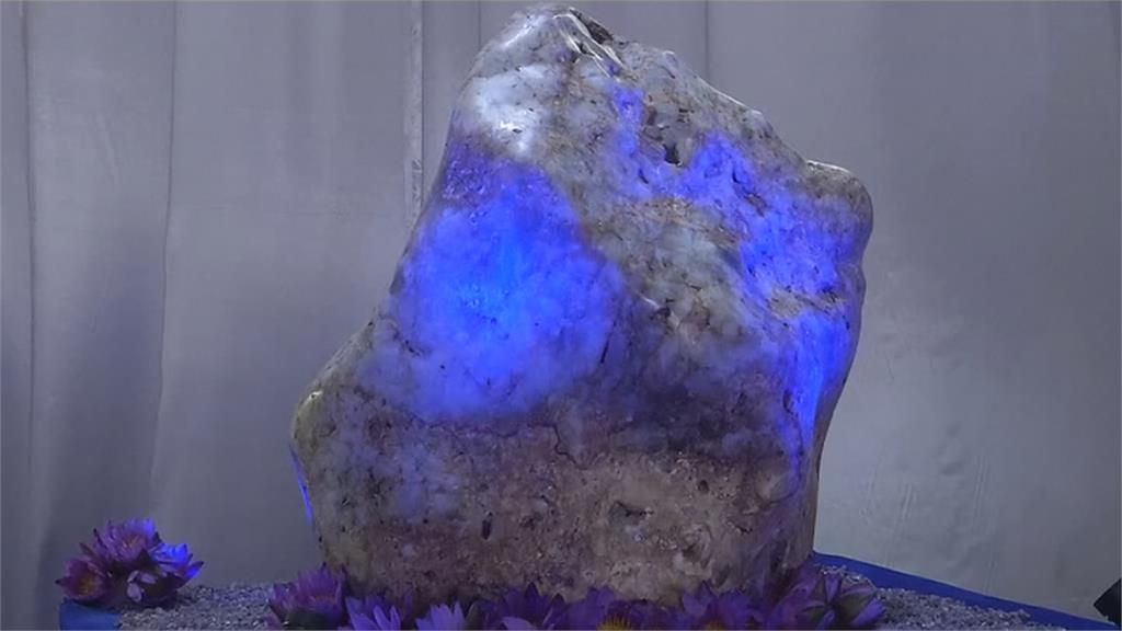 全球最大！斯里蘭卡獲310kg巨型藍寶石