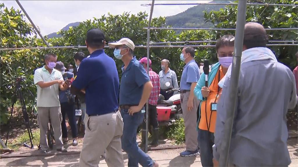 別怕！　豪雨害慘蓮霧　陳吉仲同意協助果農申請補助