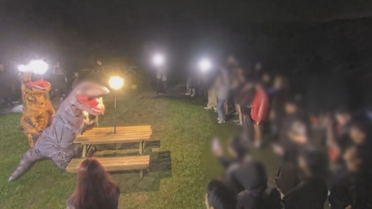 擎天崗「5分鐘野戰桌椅」爆紅　民眾湧上山打卡變不夜城
