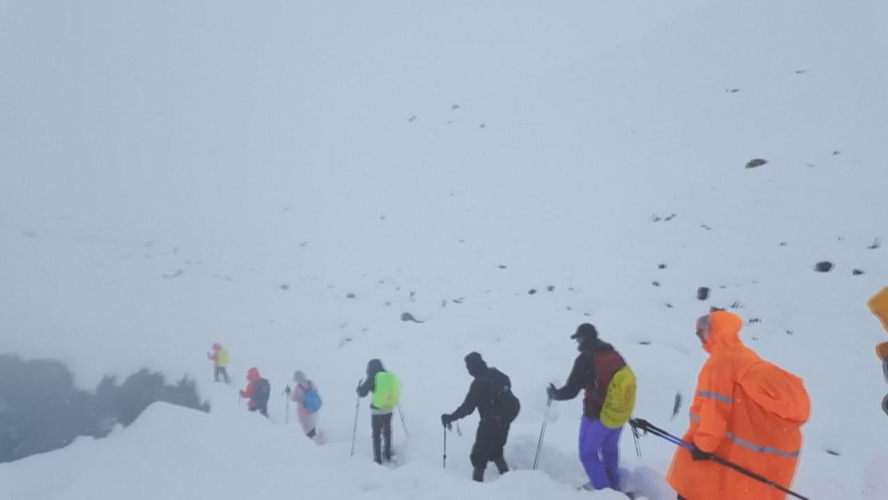 聖母峰暴風雪仍有200遊客受困　出動「犛牛」救援