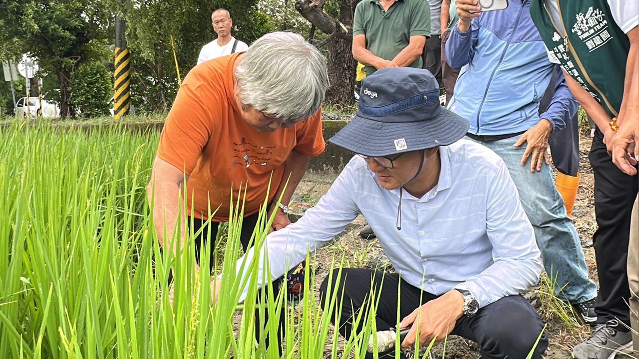 快新聞／雲林農作受損！劉建國邀農政單位會勘　分署長：盡快報部核發救助