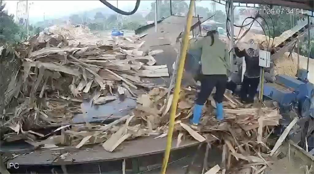 救不回！越南女工遭捲入木材機慘死　同事拉不回崩潰
