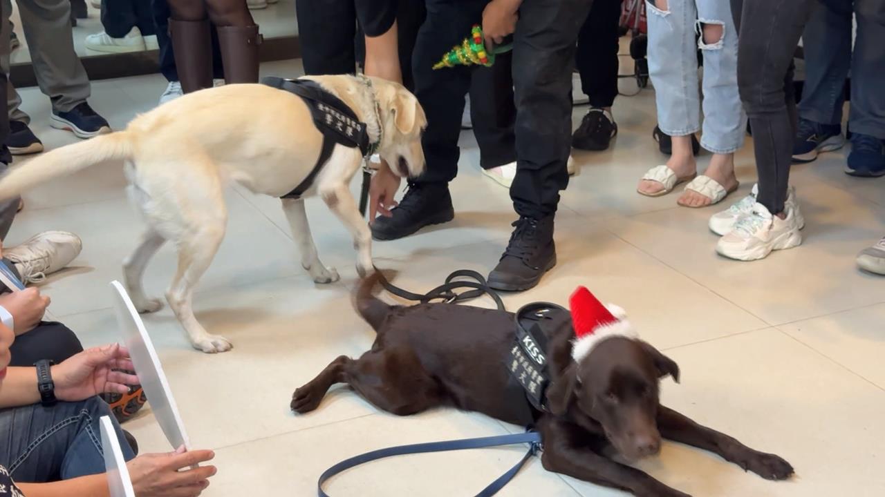 「看人拿刀就快跑」　台中小小警察體驗營教防身