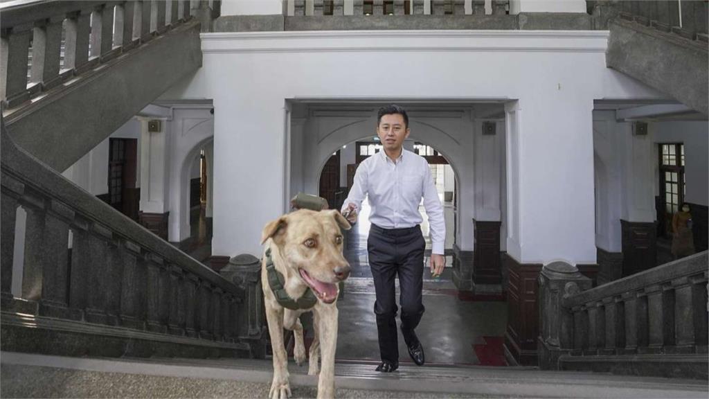 快新聞／新竹市犬「棕棕」遭送回收容所惹議　林智堅：已有民眾願意領養