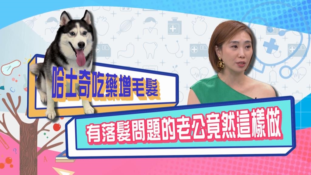 (影)／陳真的哈士奇吃藥增毛髮 有落髮的老公竟然這樣做？