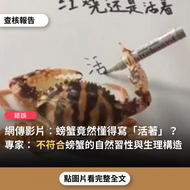 【錯誤】網傳影片「螃蟹竟然懂得寫『活著』」？