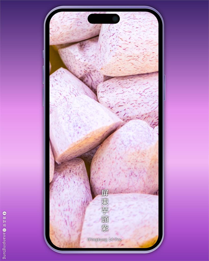 iPhone 14 Pro「暗紫色」引熱議　潘孟安搭熱潮順推「屏東芋頭紫」