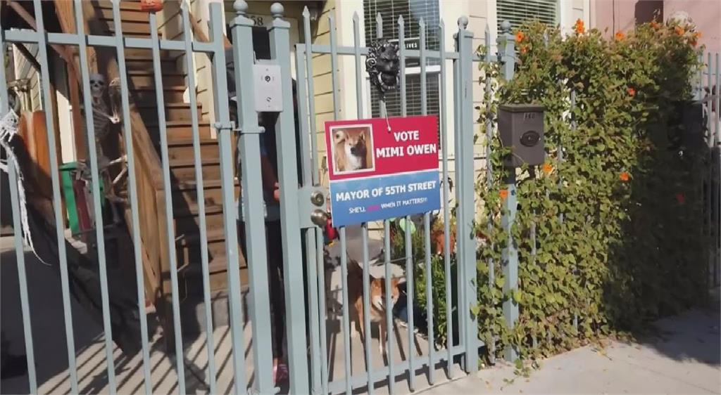 加州奧克蘭社區選街長 貓貓狗狗大比拚