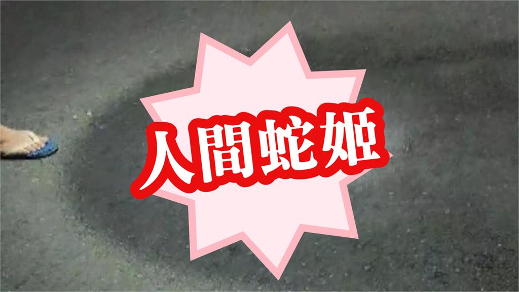 新竹公園驚見「巨蛇出沒」嚇壞小孩!「人間蛇姬」真實身分曝光竟是保育類動物