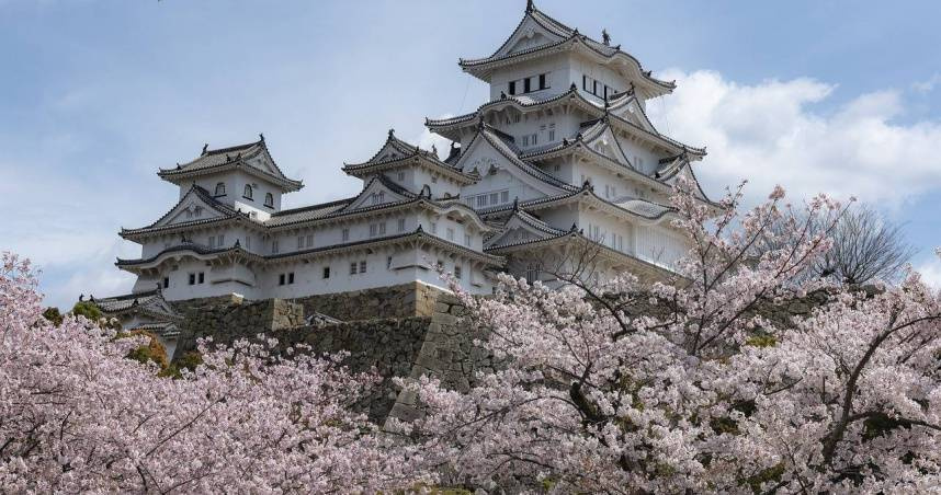 日本櫻花祭準備開始　高知、熊本領先全國率先「初綻」
