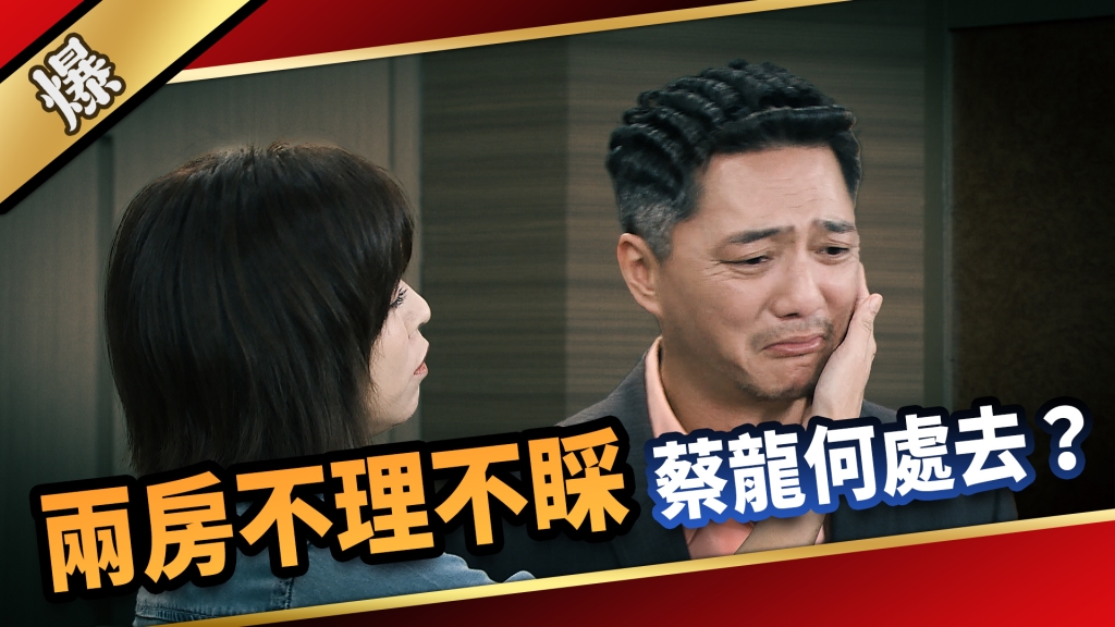 《愛的榮耀-EP230精采片段》兩房不理不睬，蔡龍何處去？