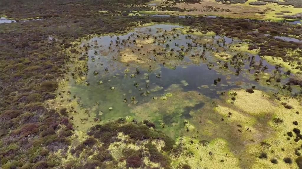 氣候變遷威脅安地斯濕地　村莊、環團攜手植樹護水源