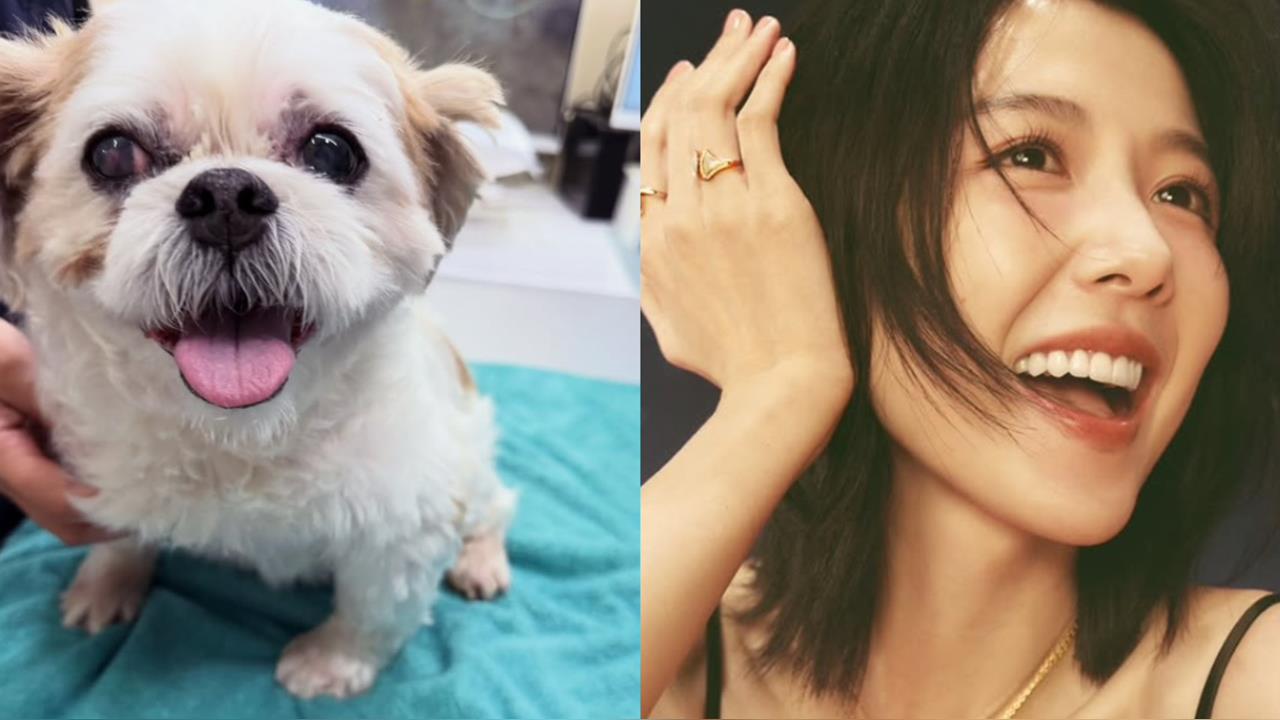 邵雨薇回老家卻遇強震!緊急避難卻遇愛犬突發狀況直言「很混亂」