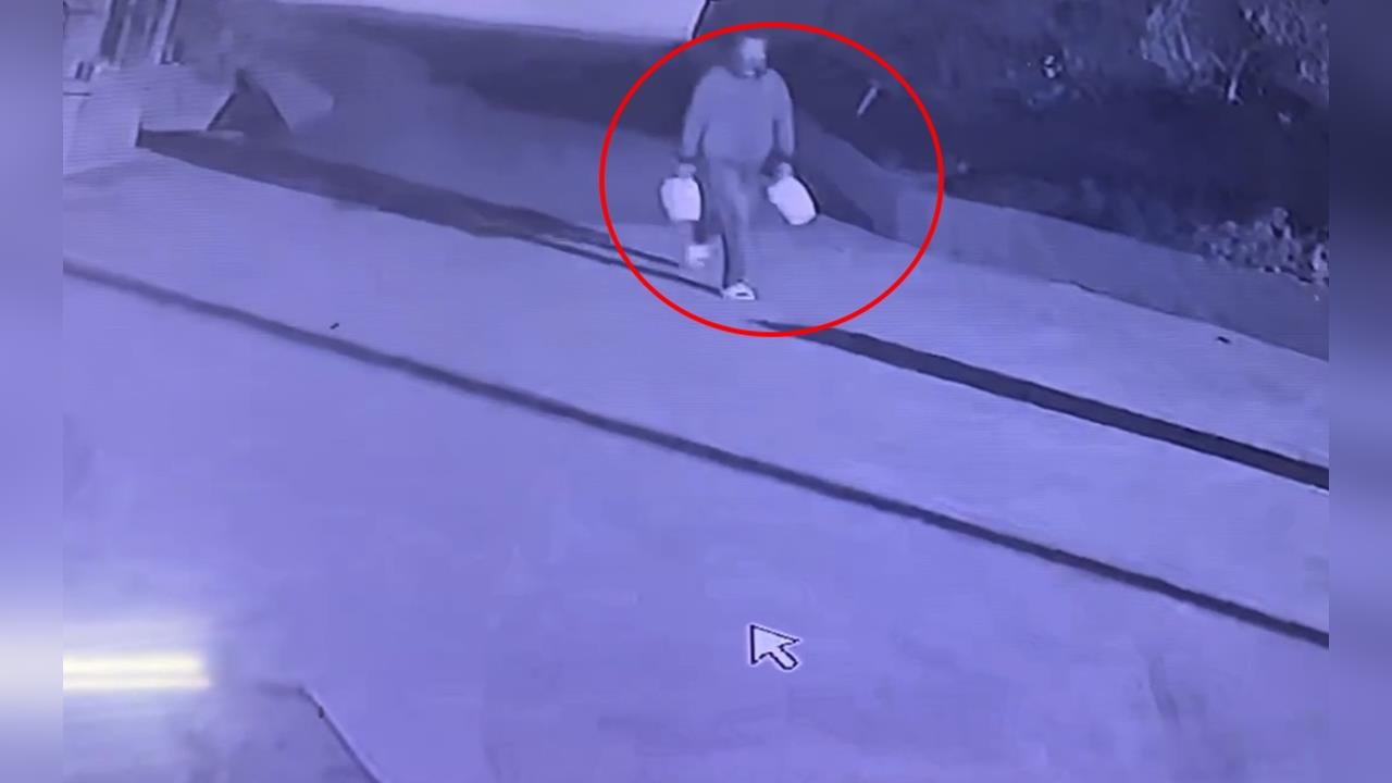 向天借膽！男「一日三偷」濟公愛酒　兩罈高粱、洋酒遭竊