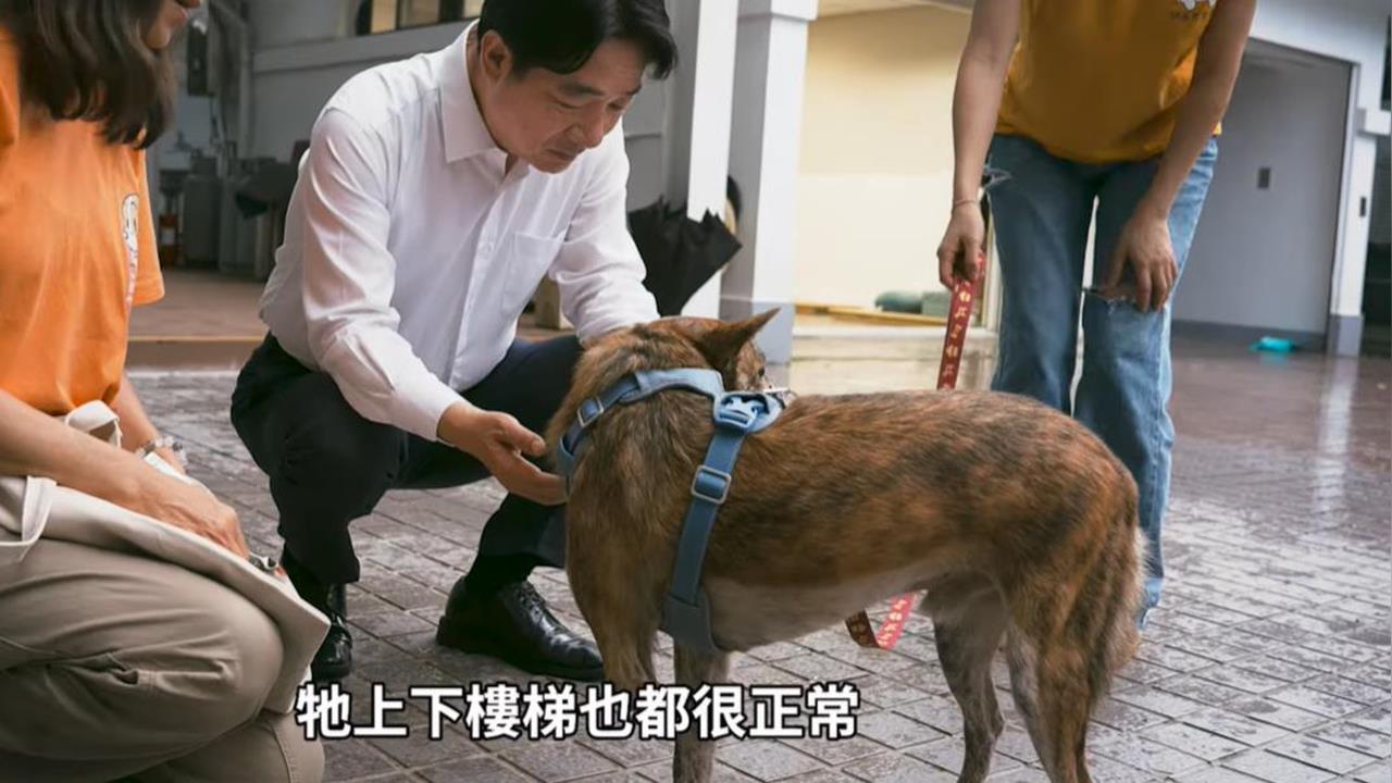 賴清德「認養愛犬斑斑」遭酸作秀！娘家突現身爆「總統反差私下面」：只能說…
