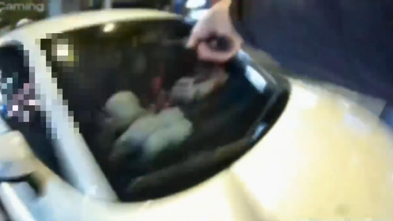 快新聞／沒在怕！板橋1車遭攔停「警拔槍仍加速逃逸」　慘吞逾4萬元罰單