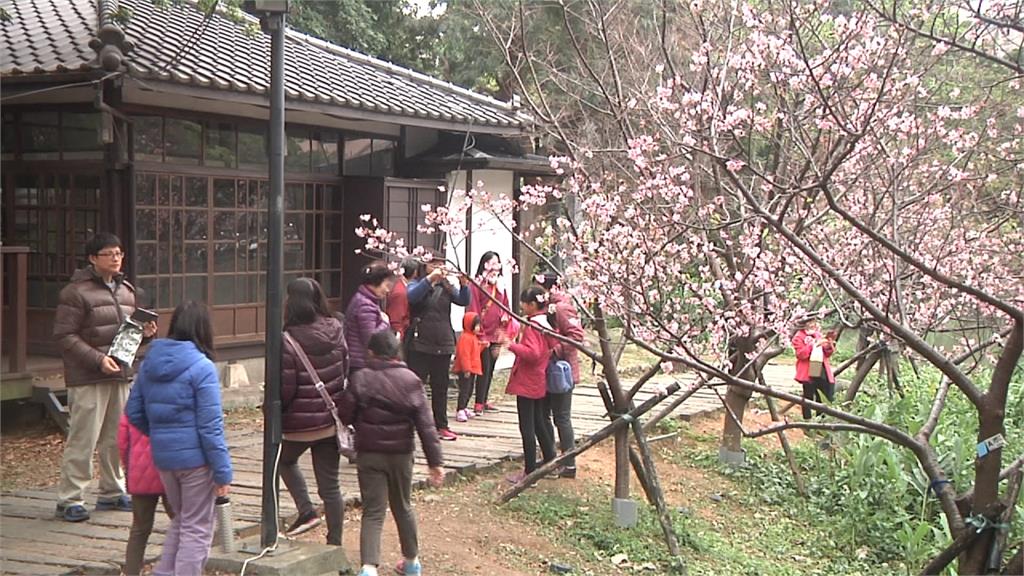 過年不知往哪跑？新竹公園整建完宛如都市綠天堂