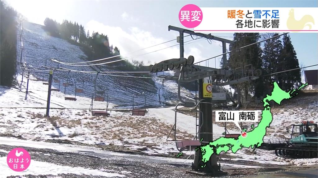 暖化向日葵提早開花 日本山形滑雪場被迫關閉