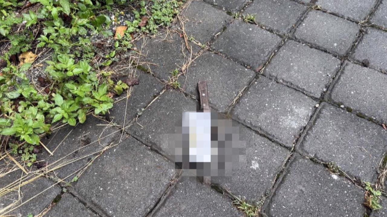 幼兒園「天降菜刀」險砸中老師　警帶回涉案8旬嬤