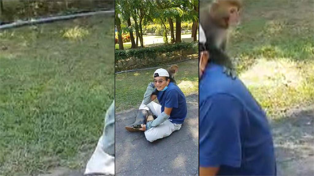 獼猴闖水道博物館 視察辦公室不怕人
