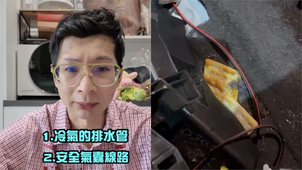 愛車變老鼠套房！黃逸祥崩潰　排檔桿塞滿餅乾、管線全爛